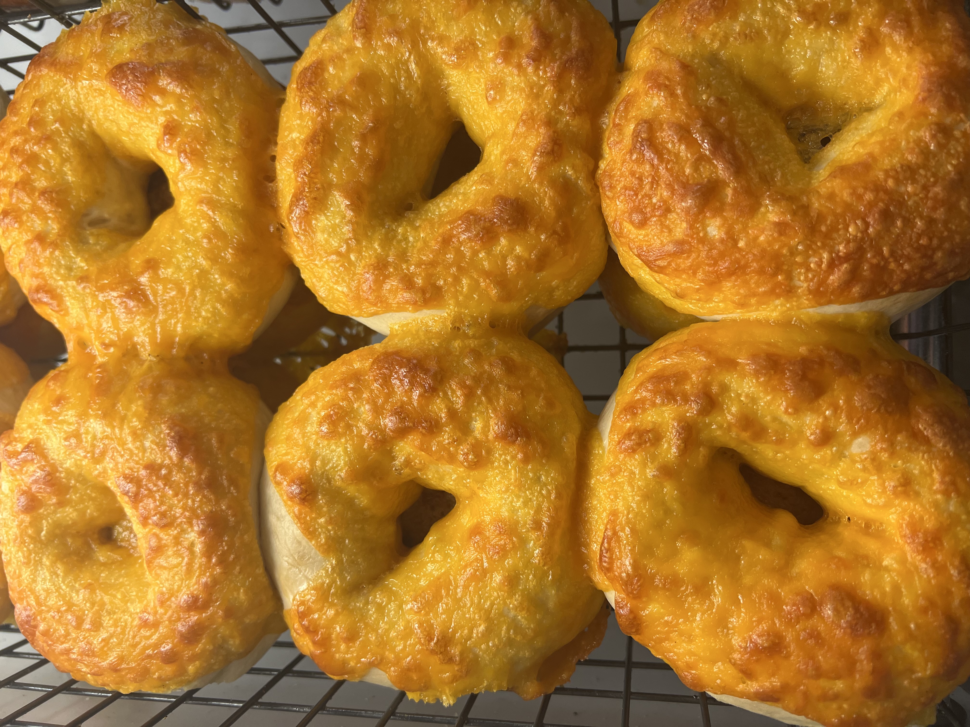 Fresh cheese specialty bagels
